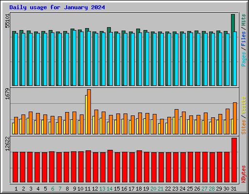 Daily usage for January 2024