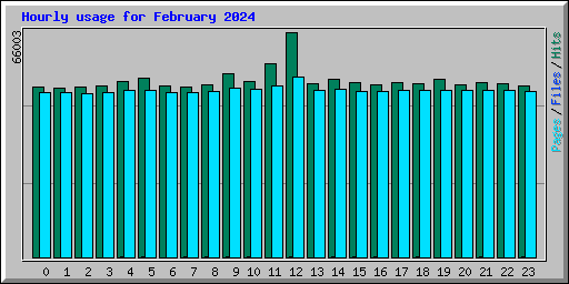 Hourly usage for February 2024