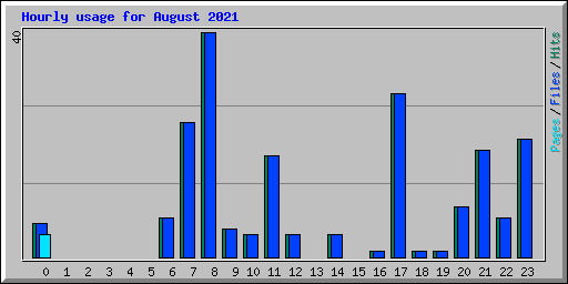 Hourly usage for August 2021